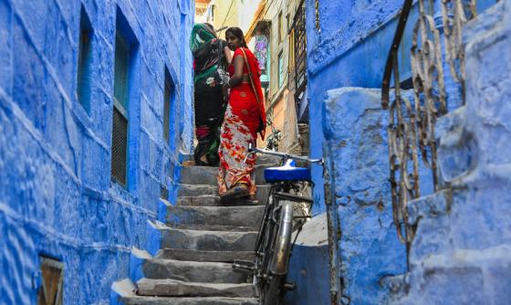 Inde : Couleurs du Rajasthan