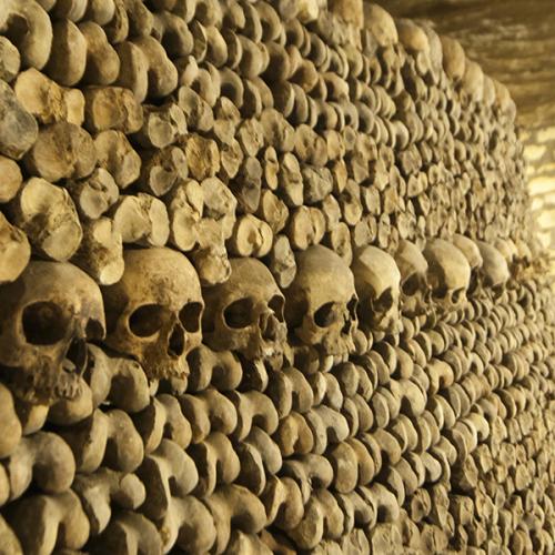 The catacombs the Empire of death in Paris