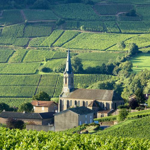 Mise au vert en Bourgogne
